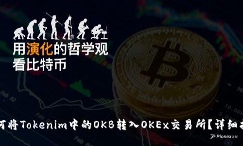 如何将Tokenim中的OKB转入OKEx交易所？详细指南